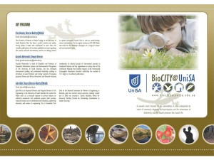 Adelaide Website brochure Design