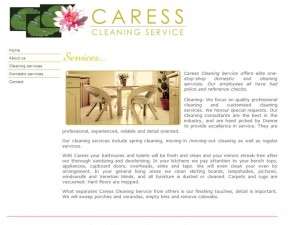 Adelaide Website Design client