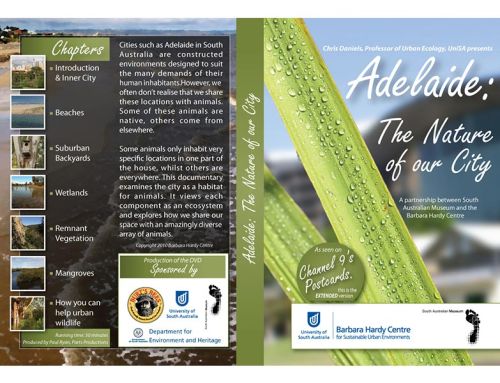 Nature of a City DVD Cover