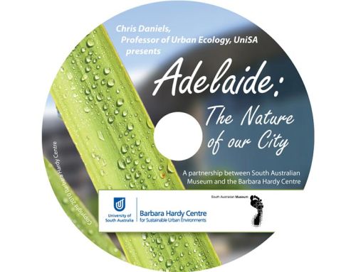 Nature of a City DVD disk