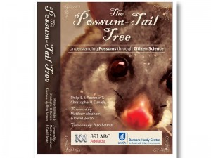 possum tail tree book cover graphic design