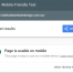 Mobile friendly test result. Adelaide Wordpress Developer.