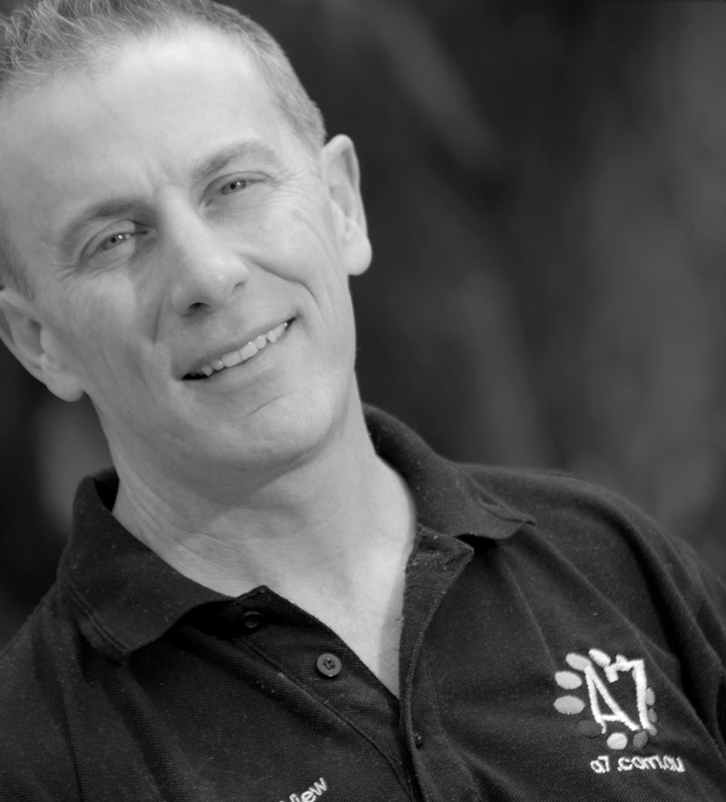 website designer adelaide, Adeliade web design