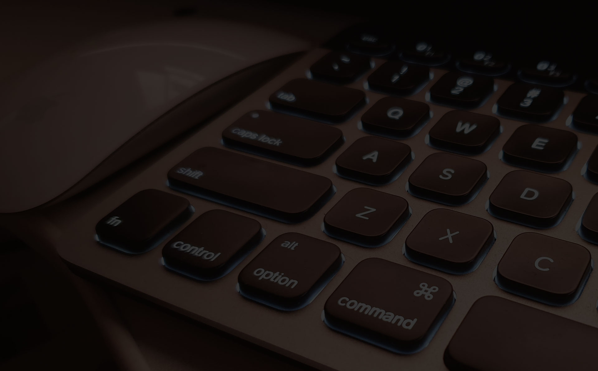 ecommerce website designer