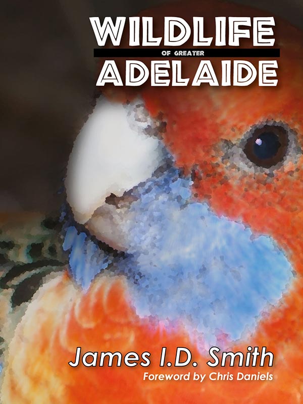 wildlife-greater-adelaide Wildlife of Greater Adelaide, adelaide graphic design