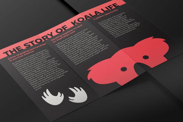 brochure graphic design