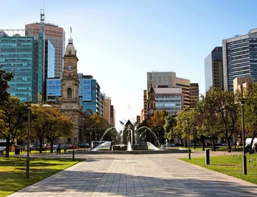 Website design Adelaide small business: 17 Powerful reasons