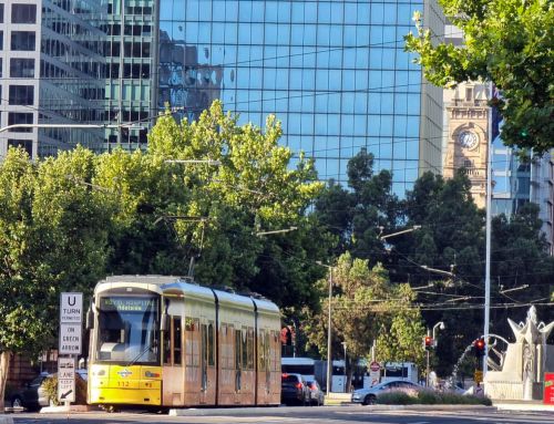 Web Development Adelaide: 9 Clear Reasons to use a Pro