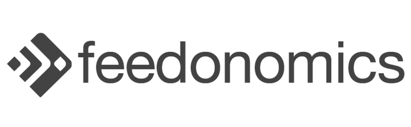 feedonomics, google shopping feed audit